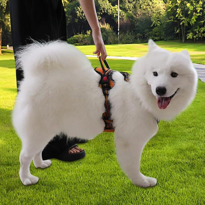 Dog Harness, Adjustable Reflective Dog Vest No Pull Dog Harness with Badge and Bow Tie for Puppy Small Medium Large Dogs-PurrikoPets