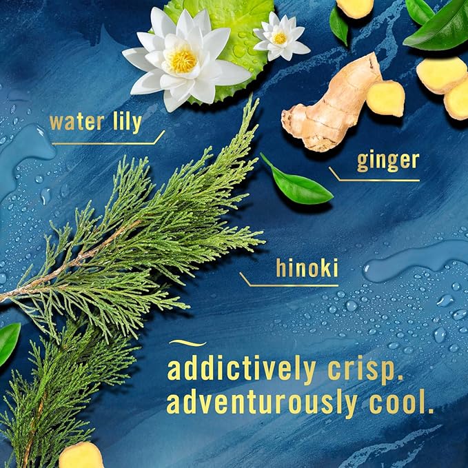 Febreze Bathroom Air Freshener, Odor-Fighting, Plug In Alternative, Air Fresheners for Home and Bathroom and Kitchen, Closet Air Fresheners, Ocean Scent, 4 Count-PurrikoPets