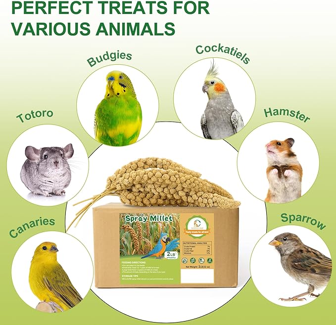 2LB Spray Millet Bird Treat for Parakeets, Natural Sun-Dried Birds Millet Spray for Parrots, Finches, Cockatiel, Budgie & Hamster, Bird Food Bulk-PurrikoPets