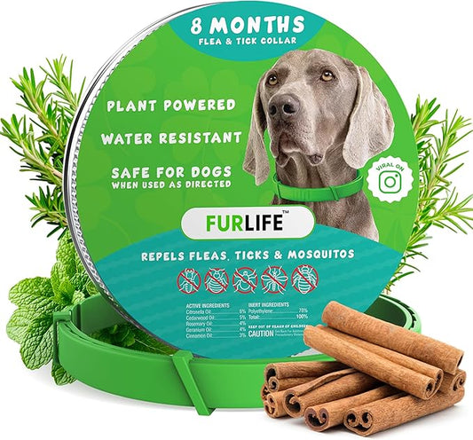 FurLife Flea and Tick Collar for Dogs – Waterproof Green Dog Collar, Pet Supplies for Tick and Flea Prevention for Dogs, Safe for All Breeds-PurrikoPets