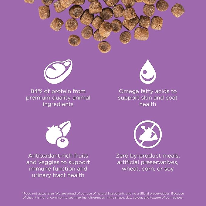 Go! Solutions Carnivore, Grain-Free, Protein Rich Dry Cat Food, Chicken, Turkey and Duck Recipe, 16 lb Bag-PurrikoPets