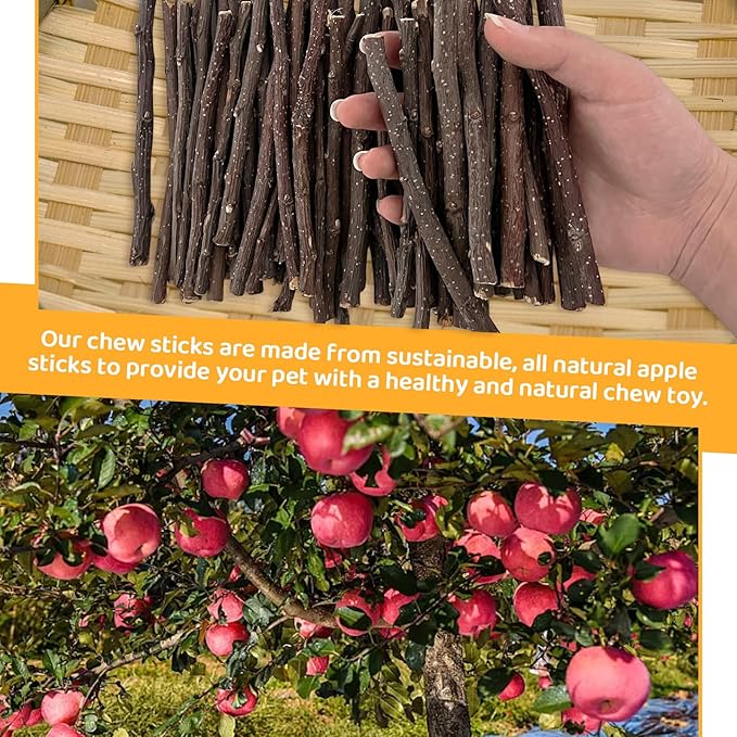 600g Apple Sticks Small Animals Wooden Pet Chew Treats Toys for Guinea Pigs Hamsters Rabbits Chinchillas Squirrels Small Animal Molar Wood Treats Toys-PurrikoPets