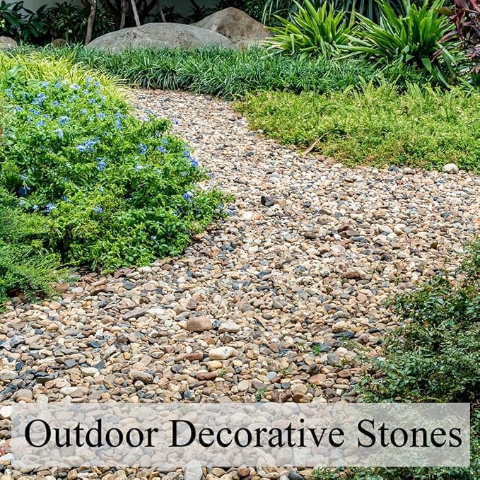 2lbs Aquarium Rocks, 2/5 Inch Pea Gravel for Indoor Plants, Decorative River Rocks for Fish Tank Succulent Vase Plant Soil Cover and Outdoor Landscaping-PurrikoPets