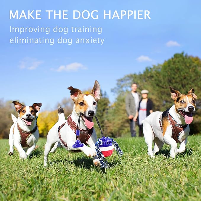 Aggressive Chewer Dog Toys - Rope Toys with Suction Cup, Teething Treats & Puzzle Food Dispensing Ball (Navy Blue)-PurrikoPets