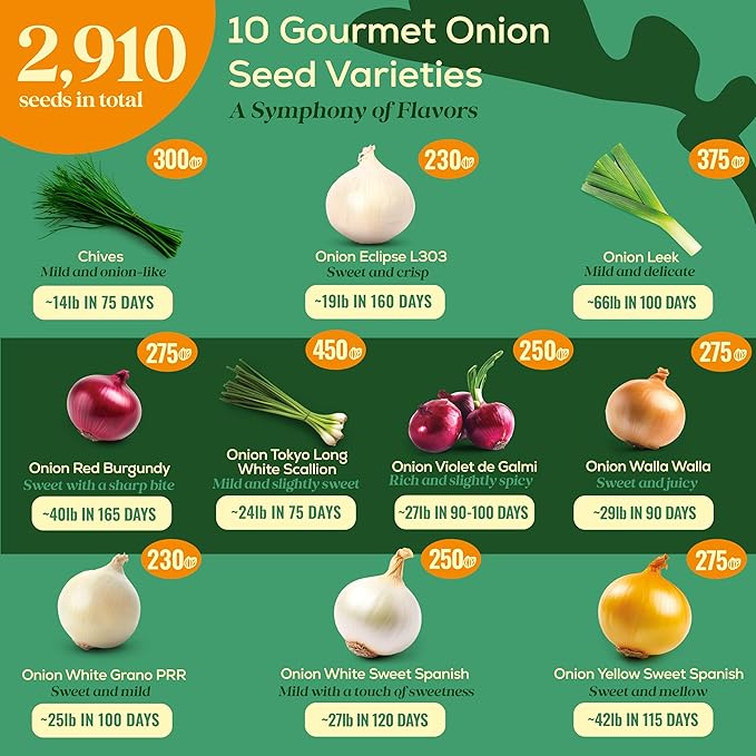 10 Gourmet Onion Seeds for Planting Variety Pack - 2,900+ Non-GMO Heirloom Vegetable Seeds for Growing Indoor & Outdoor: Red Burgundy, Leek, Walla Walla, Grano White & Yellow Sweet Spanish-PurrikoPets