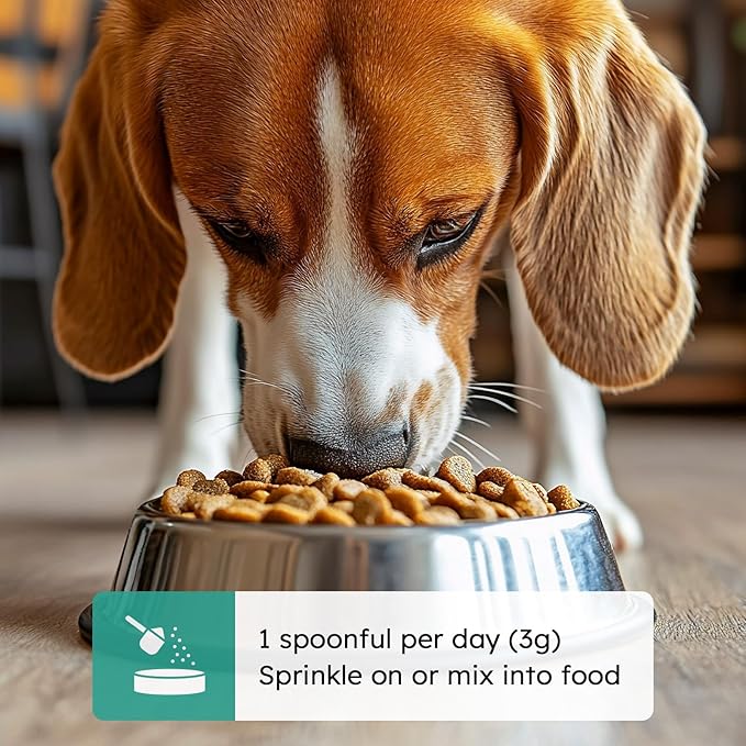 Dog Teeth Cleaning Powder - Dog Breath Freshener + Dental Care for Doggies & Cats + Tartar Remover for Teeth with Natural Ingredients + Probiotics Blend (Mint - 100g)-PurrikoPets