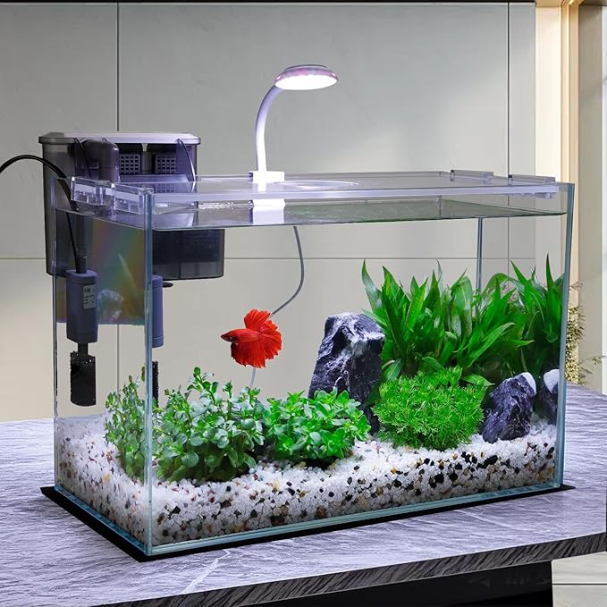 5 Gallon Glass Small Fish Tank, Betta Fish Tank Starter Kit with Filter, Lights, Lid.-PurrikoPets