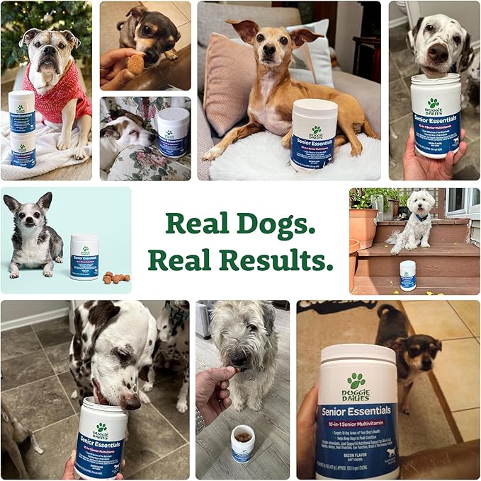 Doggie Dailies Senior Essentials Multivitamin for Dogs Soft Chews | Advanced Dog Multivitamin | Nutritional Support for Joints, Skin & Coat, Digestion, and the Immune System | Bacon Flavor | 120 Count-PurrikoPets