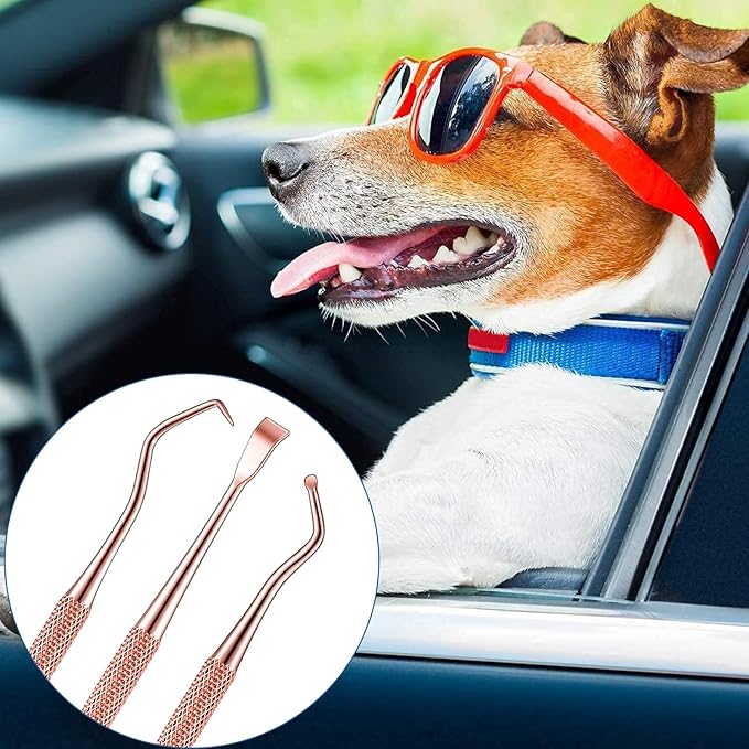 3 Pieces Dog Dental Tooth Scaler and Scraper Stainless Double Headed Tarter Removing Tool Scraper Pet Teeth Cleaning Tools for Dog and Cat (Rose Gold)-PurrikoPets
