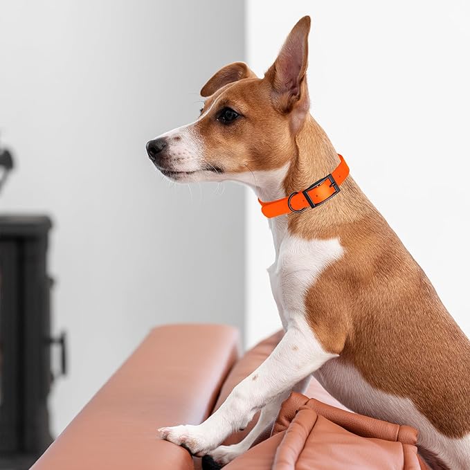 Dogline Biothane Waterproof Dog Collar Strong Coated Nylon Webbing with Black Hardware Odor- Proof for Easy Care Easy to Clean High Performance Fits Small Medium or Large Dogs, Hunter Orange-PurrikoPets