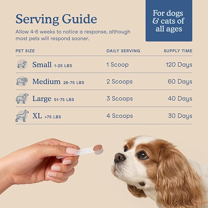 Fera Pets Postbiotics Plus Prebiotics for Dogs & Cats - with Slippery Elm - Promotes Optimal Digestive Health & Inflammatory Response - Enhances Immunity - 120 Scoops-PurrikoPets