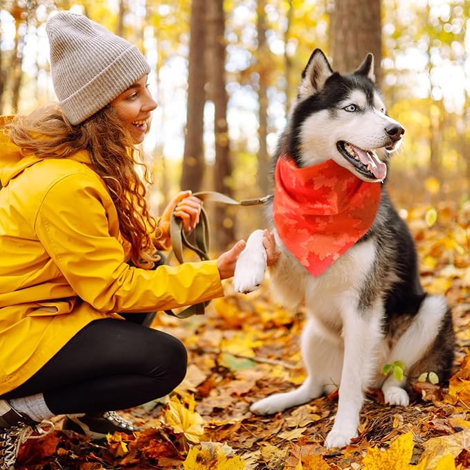 100 Pieces Fall Dog Bandanas Bulk Maple Leaves Bandanas for Dogs Autumn Soft Doggie Bibs Adjustable Triangle Scarves with Pumpkin Patterns for Small Medium Large Pet Fall Autumn Costume-PurrikoPets