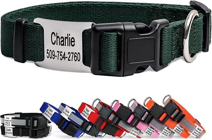 GoTags Personalized Dog Collar with Nameplate, Adjustable Dog Collar with Custom Engraved Slide On Pet ID Tag in Stainless Steel, Silent, No Noise Dog Tag (Hunter Green, Medium)-PurrikoPets