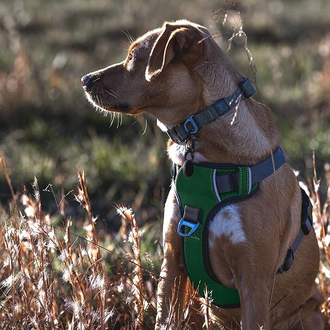 Embark Adventure Dog Harness, Reflective Trim No Pull Dog Harness Medium Sized Dogs - Military Grade Nylon, Front Clip with Gel Lined Handle.-PurrikoPets