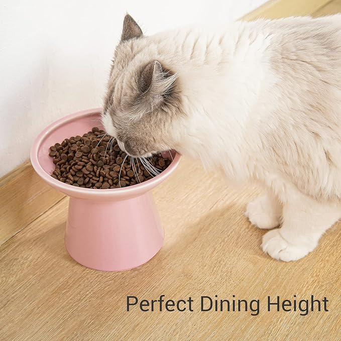 Extra Wide Elevated Ceramic Cat Food Bowl - 6.2" Shallow Dish for Whisker Fatigue Relief, 5" Height for Easy Feeding, Lead & Cadmium Free, Durable Raised Cat Food Bowls, Pink-PurrikoPets