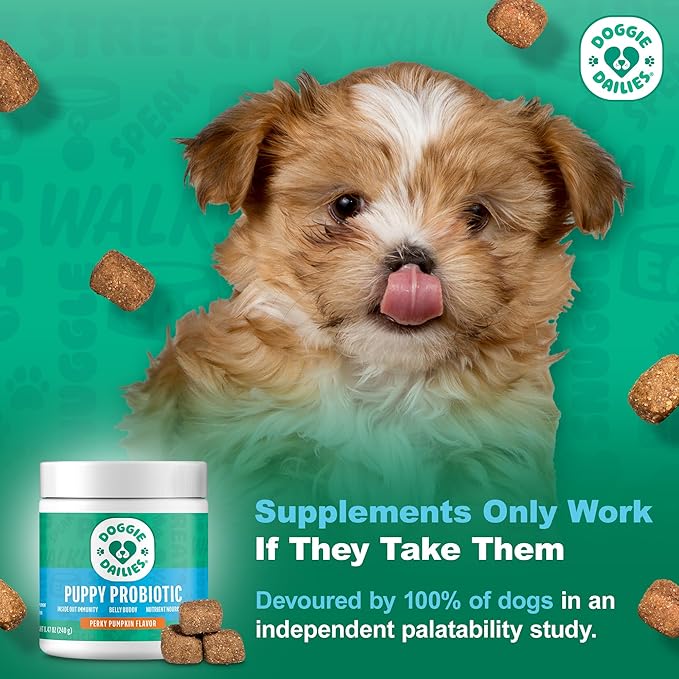 Doggie Dailies Puppy Probiotic, Probiotics for Puppies with Digestive Enzymes, Promotes Digestive Health, Supports Immune System & Overall Development (Pumpkin) 120 Soft Chews-PurrikoPets