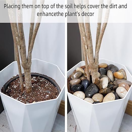 8LB 1"-2" Decorative River Rocks for Plants, Polished Pebbles for Garden Landscaping, Planters, Aquariums, Vase Fillers – Indoor & Outdoor Decor-PurrikoPets