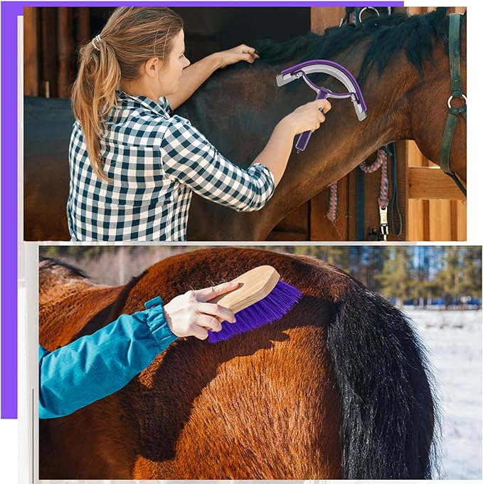 Abbylike 12 Pieces Horse Grooming Kit Racing Festival Tack Room Supplies Horse Brush Sets Equine Care Cleaning Kit Shedding Grooming Massaging Tools(Gray and Purple)-PurrikoPets
