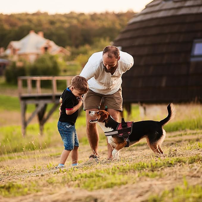 Dogline Dog Harness, Reflective No-Pull Adjustable Vest with Handle for Walking, Training, Breathable, No - Choke Harness for Small, Medium or Large Dogs Room for Patches Zebra Black/Red S 18"-24"-PurrikoPets