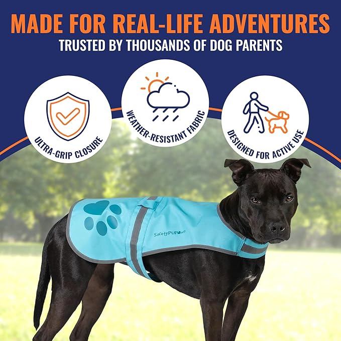 Dog Reflective Vest – Hi-Vis Fluorescent Visibility That Helps to Safeguard Your Pet On/Off Leash in Urban & Rural Areas (Teal, X-Small)-PurrikoPets