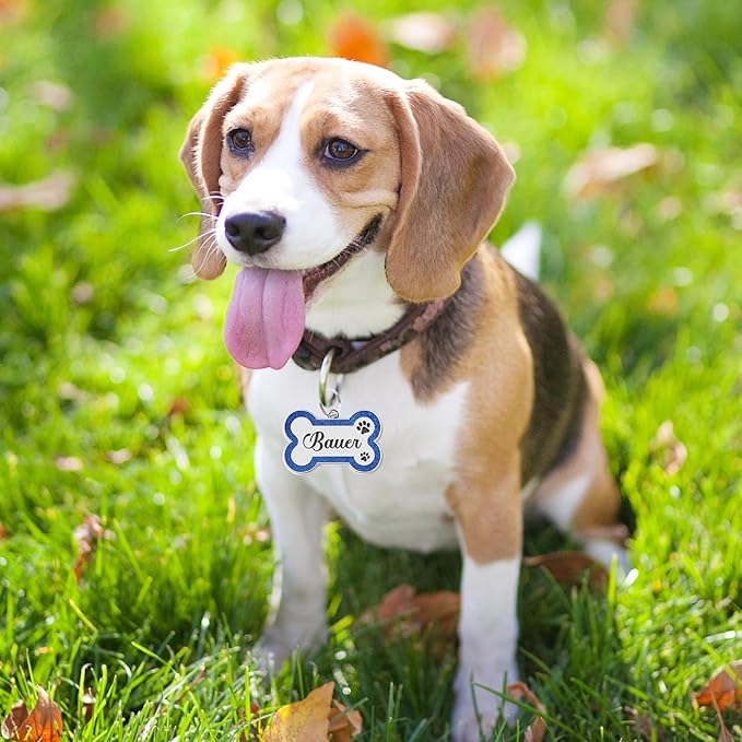 Dog Tags Personalized for Pets Dog Name Tags Personalized Dog Tag Engraved with Any Name & Text Custom Dog ID Tags Glitter Bone ID Tag for Puppy Cat (Silver S, Bone)-PurrikoPets