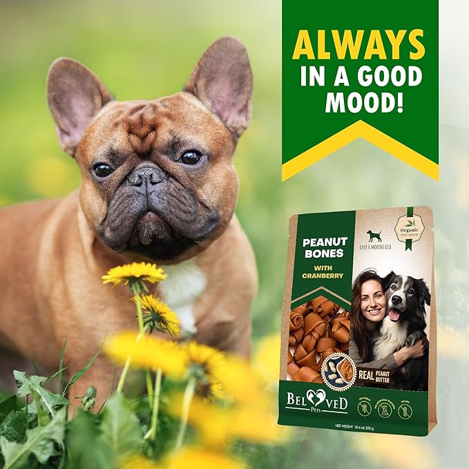 Dog Treats Peanut Butter Bones with Cranberry & Rawhide Free Chew 11 Oz - Pet Natural Mini & Big Snacks Healthy Collagen & Bulk Best Chews for Small & Large Dogs - Made for USA (Peanut Butter)-PurrikoPets