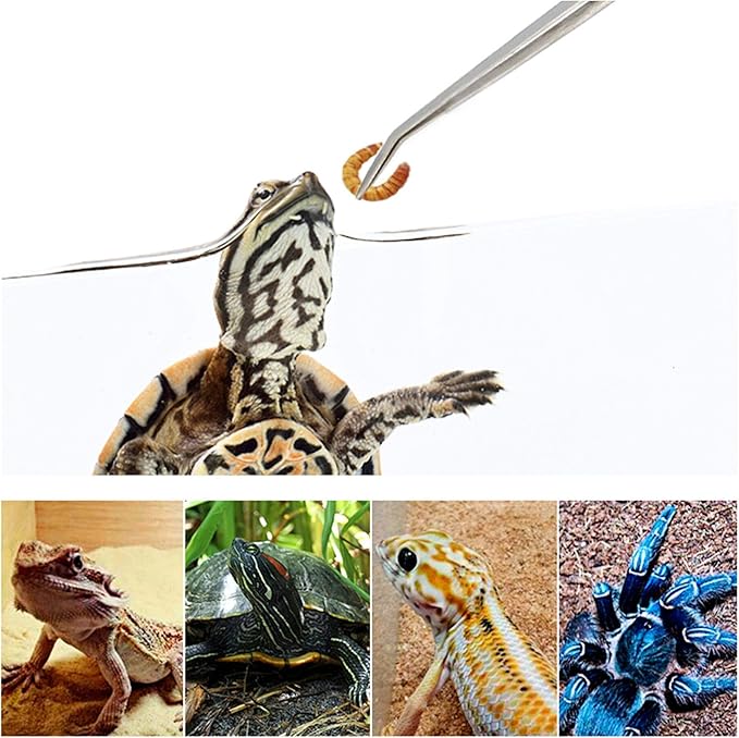 Feeding Tongs 2pcs Stainless Steel Aquarium Long Tweezers 27cm/10.6 inches Straight Curved Tweezers for Fish Tank Aquatic Plants Reptile Lizard Gecko Snake Spider Bird-PurrikoPets