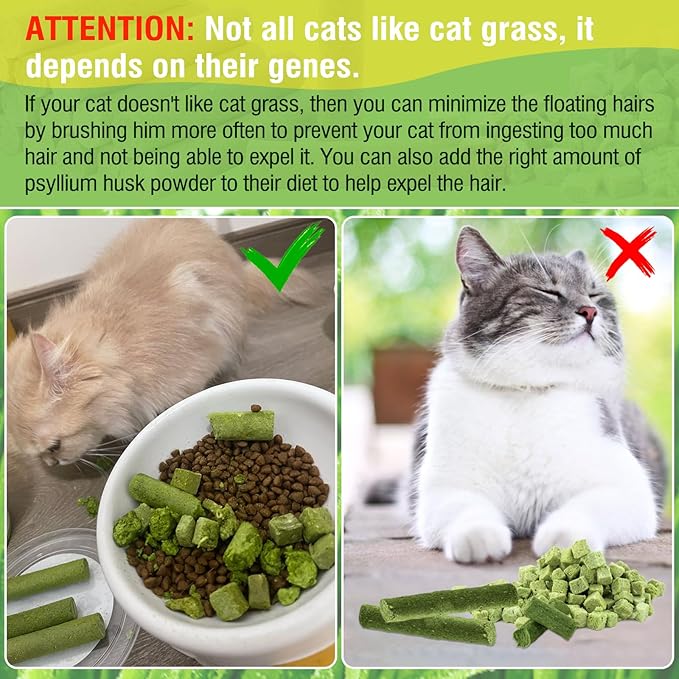 225g Cat Grass Teething Stick, Delicious Cat Treat Snack Edible Cat Chew Toy for Teeth Cleaning and Hairball Removal in Cats-PurrikoPets