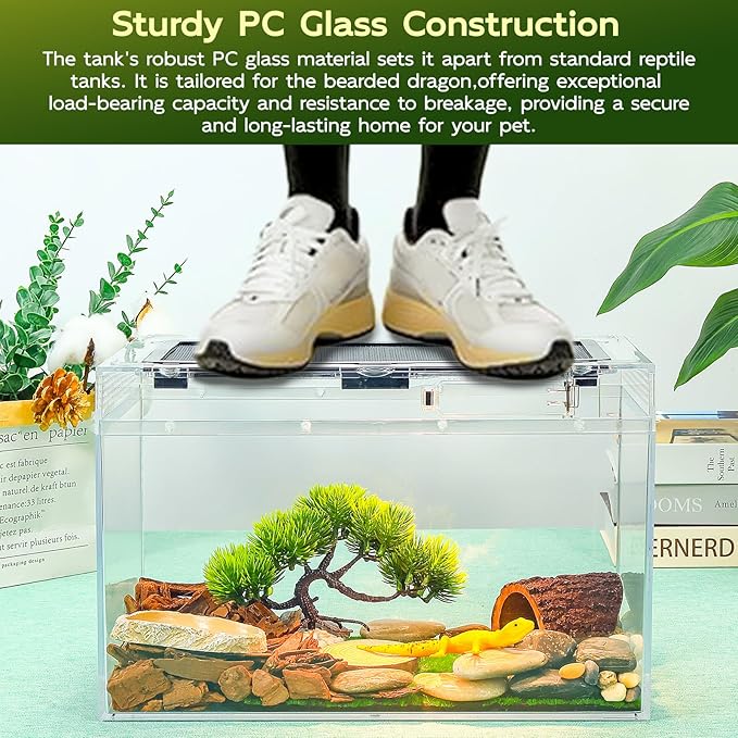 16×10×8'' Reptile Tank Kit with Heat Lamp, Spray Bottle, Shovel, Tweezers, Food Bowl, Hideout -Perfect for Geckos, Bearded Dragons, Snakes, Lizards, Turtles 360° Viewing, PC Glass-PurrikoPets