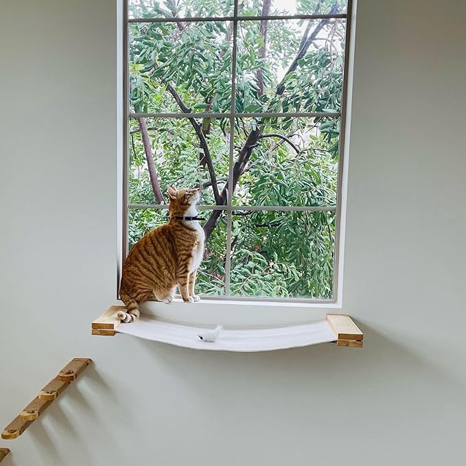 FUKUMARU Cat Wall Furniture, 34 x 13 inch Cats Hammock Shelves, Rubberwood Kitten Window Perch, Easy DIY Installation-PurrikoPets
