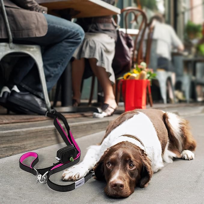 Dog Poop Bag Holder for Leashes - Dog Poop Bag Dispenser and Treat Holder with 2 Waterproof Pouches for Pet Waste Bags and Walking Accessories + 1 Free Roll - Leashrr 2.0 (Teal)-PurrikoPets