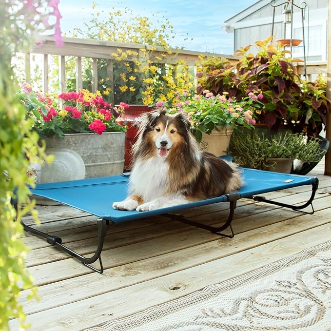 Folding Raised Dog Bed, Large Outdoor Elevated Dog Cot, Cooling Chew Proof Pet Cots Bed, Portable, Heavy Duty Up to 160 lbs, Pet Cot for Camping, Home, Dark Blue, 49"x33"x7"-PurrikoPets