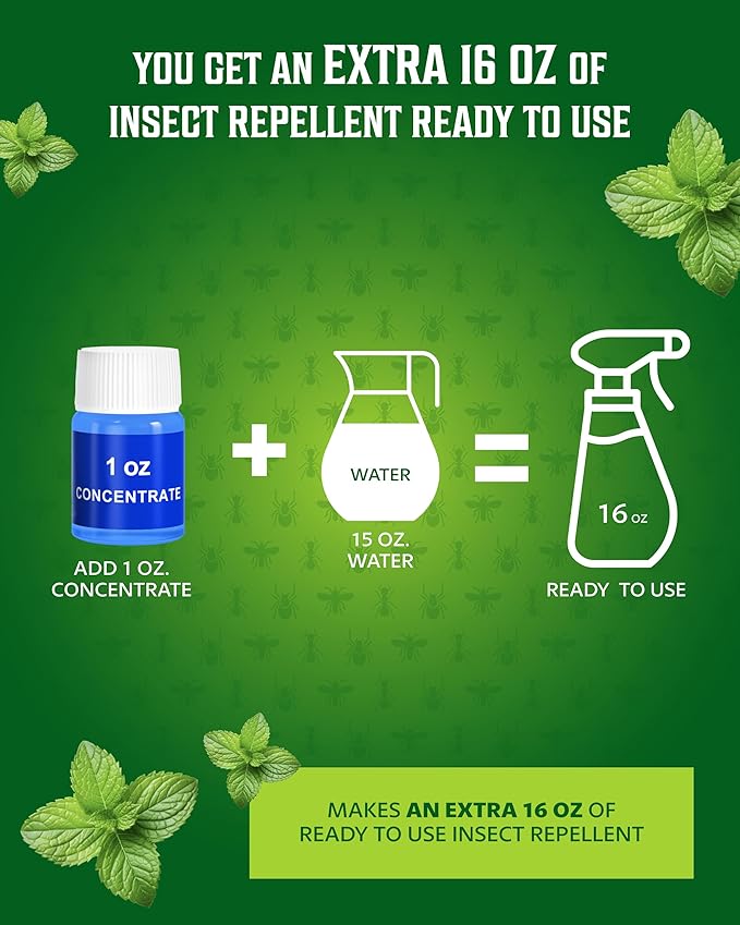 All Natural Bug Spray for Home – Non- Toxic Peppermint Oil Spray for Insect and Pest Control Kit - 16 oz Ready-to-Use Bug Spray 2 Bottle Value – 16 oz + 1oz - Spider Repellent Indoor-PurrikoPets