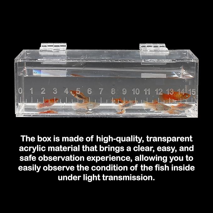 Fish Viewing Box Container with Lid and Scale, Acrylic Portable Fishing Mini Aquarium, Small Fish Breeder Hatching Boxes, Safe Tank Case for Breeding Egg Photo Isolation Outdoor Indoor-PurrikoPets