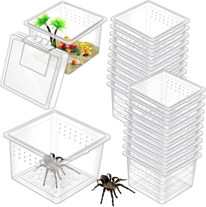 20 Pcs Insect Spider Terrariums Breeding Box Small Reptile Hatching Container Transparent Cricket Keeper Breeder Box Feeding Spider Cage with Lid for Scorpion Gecko Tortoise Centipede Tarantula-PurrikoPets