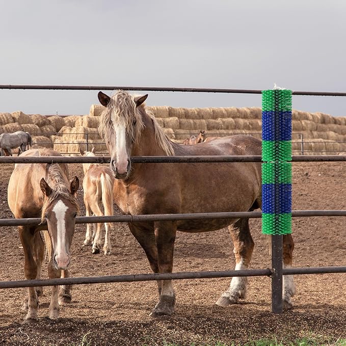 2PCS Livestock Scratch Brush, 17.5 x 7.8 Inch Goat Brushes for Grooming, Horse Brushes for Scratching, Livestock Brushing with 4 Screws for Horse, Elk, Cattle, Pig, Sheep（Green）-PurrikoPets