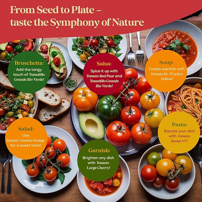 14 Tomatillo & Tomato Seeds for Planting Variety Pack - 990+ Non-GMO Heirloom Vegetable Seeds for Growing Tomato Indoor & Outdoor: Cape Gooseberry, Cherry, Flame, Roma, Beefsteak Tomatoes-PurrikoPets