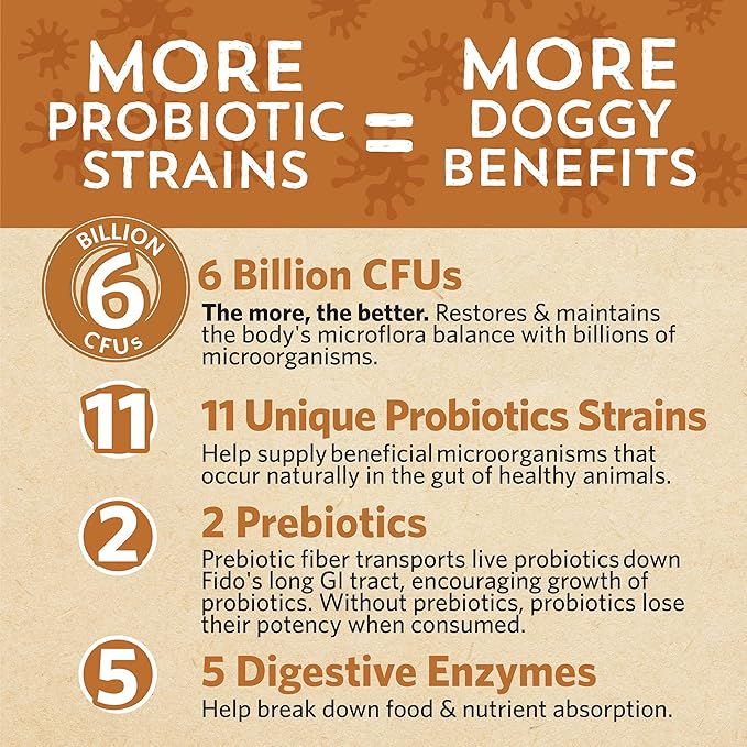 Fidobiotics Good Guts for Medium Mutts Probiotic for Dogs, 6 Billion CFUs, 11 Strains, 5 Digestive Enzymes, 2 Prebiotics, Digestive Gut Health for Dogs, Adult & Puppy Probiotics Supplements (30 Days)-PurrikoPets