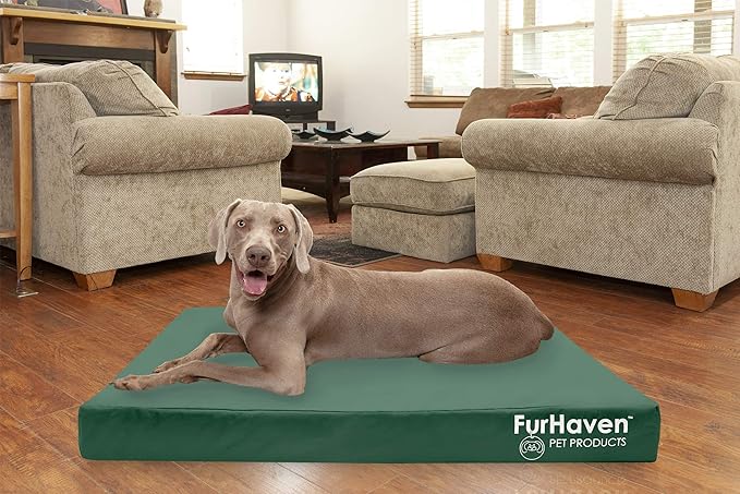 Furhaven Water-Resistant Cooling Gel Dog Bed for Large Dogs w/ Removable Washable Cover, For Dogs Up to 125 lbs - Indoor/Outdoor Logo Print Oxford Polycanvas Mattress - Forest, Jumbo Plus/XXL-PurrikoPets