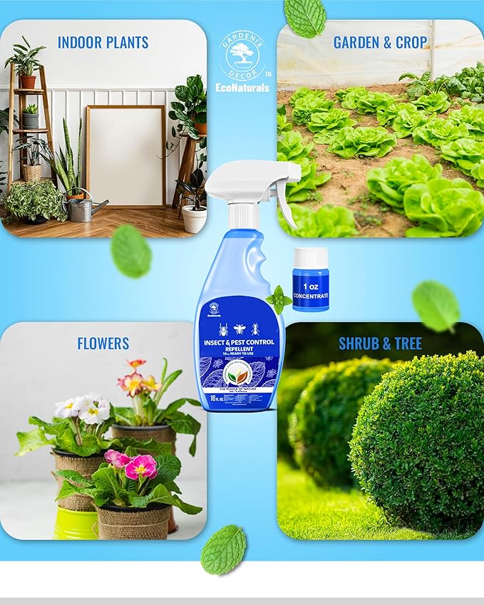 All Natural Bug Spray for Home – Non- Toxic Peppermint Oil Spray for Insect and Pest Control Kit - 16 oz Ready-to-Use Bug Spray 2 Bottle Value – 16 oz + 1oz - Spider Repellent Indoor-PurrikoPets