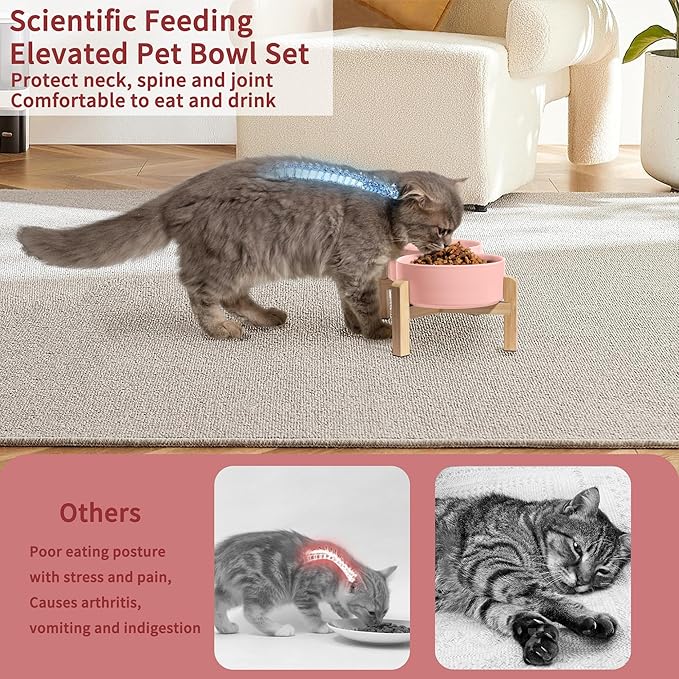 Elevated Ceramic Dog Bowl Set - Raised Feeding Bowls with Non-Slip Bamboo Stand - Small Pet Dishes for Food and Water - Ideal for Cats and Puppies - 16.23 OZ - 2 Cups - 480 ML-PurrikoPets