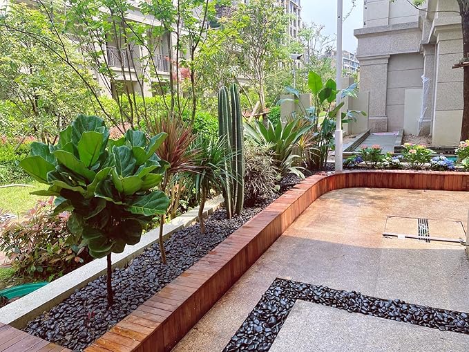 20 lbs Decorative Black River Rocks for Plants, 1-2 inch Natural Black Pebbles for Indoor Plants, Plant Rocks, Rocks for Outdoor Landscaping, Vase, Decorative Stones and Garden Rocks-PurrikoPets