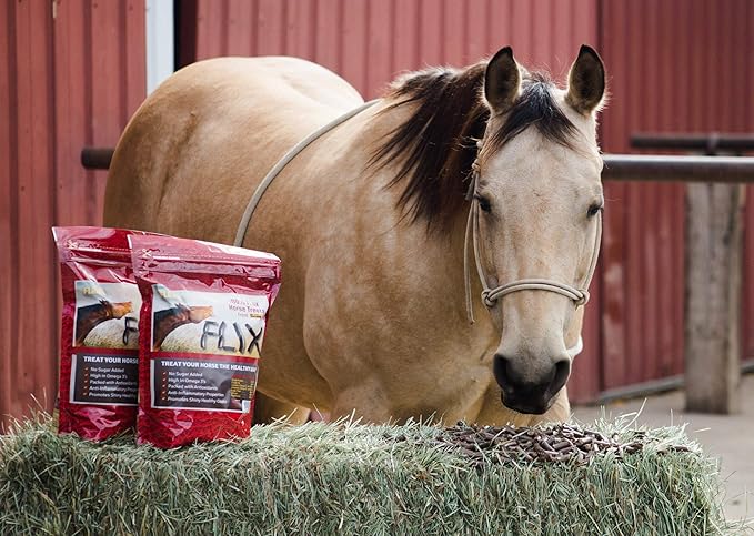 Flix 9 lb, 100% Flaxseed Healthy Treats for Horses, High in Omega-3-PurrikoPets