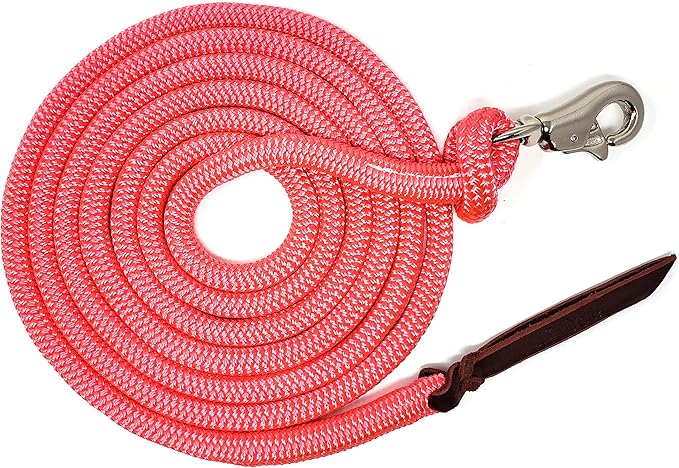 12FT Lead Rope with NP Snap-PurrikoPets