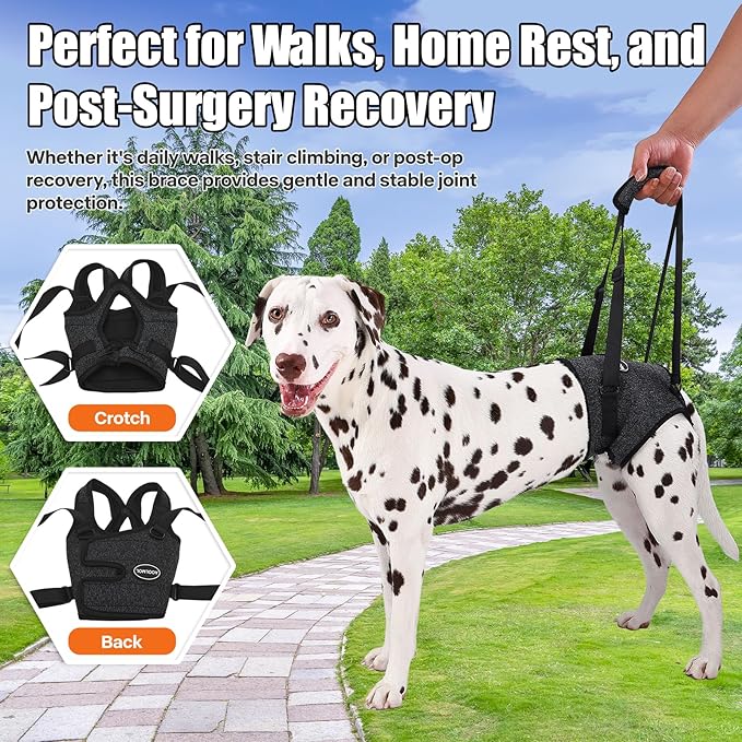 Dog Sling for Medium Large Dog Rear Leg, Lift Harness Provide Support with Muscle Atrophy and Joint Problems for Elderly Injured Arthritic Pet, Dog Weak Rear Legs Provides Rehabilitation Aid-PurrikoPets