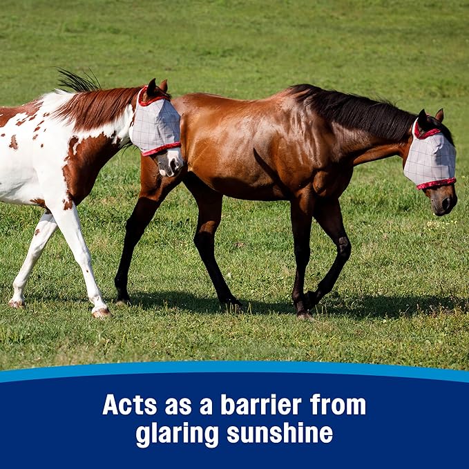 Farnam SuperMask II Fly Mask Without Ears for Smaller Horses or Arabian Horses,Full Face Coverage & Eye Protection from Insect Pests, Structured Classic Mesh with Plush Trim,Small Horse/Arabian Size-PurrikoPets