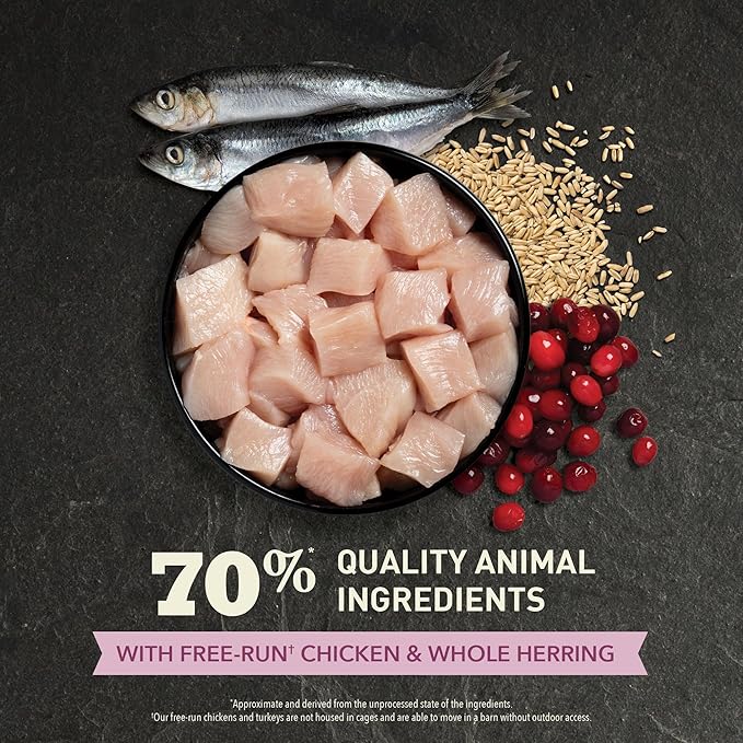 ACANA Dry Cat Food for Kittens First Feast Chicken and Fish 7lb Bag-PurrikoPets