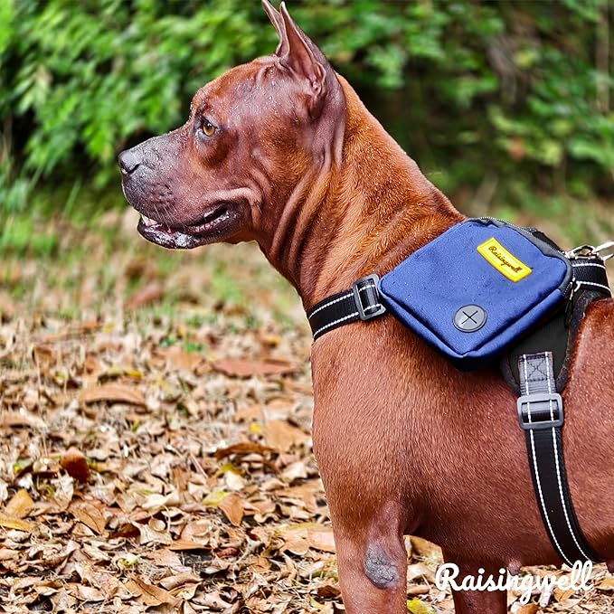 Dog Treat Pouch for Pet Walking and Training with Clicker Poop Bags Small Fanny Zipper Pack Holder for Puppy Snack Dispenser Kit for Leash and Outdoor Use (Blue)-PurrikoPets