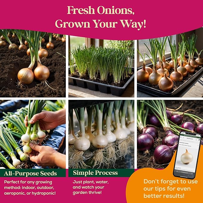 10 Gourmet Onion Seeds for Planting Variety Pack - 2,900+ Non-GMO Heirloom Vegetable Seeds for Growing Indoor & Outdoor: Red Burgundy, Leek, Walla Walla, Grano White & Yellow Sweet Spanish-PurrikoPets