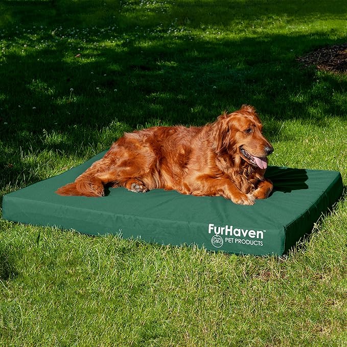 Furhaven Water-Resistant Cooling Gel Dog Bed for Large Dogs w/ Removable Washable Cover, For Dogs Up to 95 lbs - Indoor/Outdoor Logo Print Oxford Polycanvas Mattress - Forest, Jumbo/XL-PurrikoPets